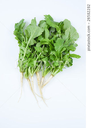 蘿蔔蘿蔔蘿蔔減薄蘿蔔 26582282