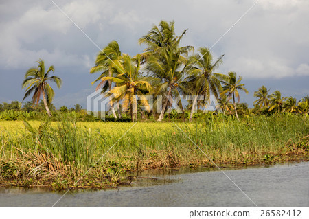 Madagascar traditional river landscape Madagascar traditional river landscape 26582412