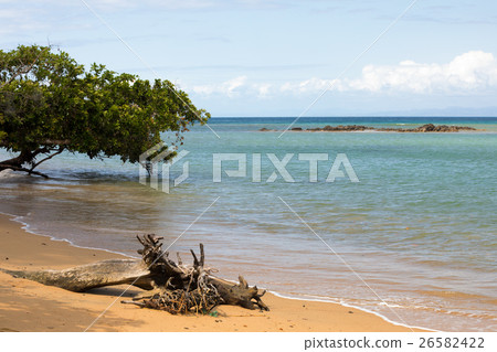 Beautiful dream paradise nature beach madagascar 26582422