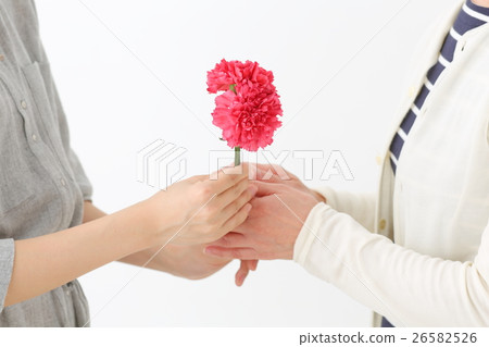 康乃馨母親節 26582526