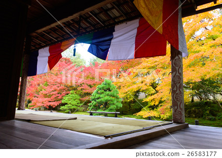 Autumn leaves of Nenzenji Tensenan 26583177