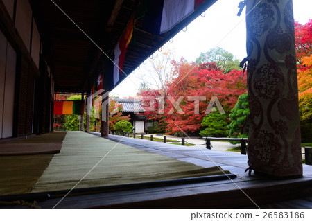 Nenzenji Tensenan秋葉 Nenzenji Tensenan秋葉 26583186