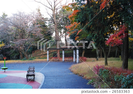 A little autumn leaves of a child park 26583363