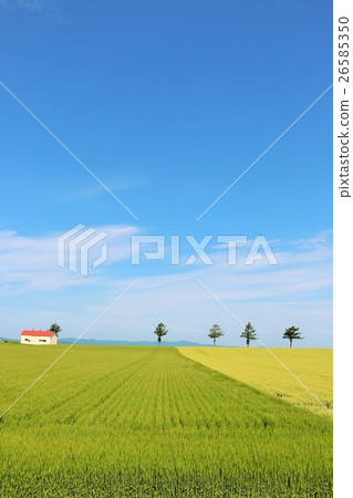 北海道山的童話故事 北海道山的童話故事 26585350