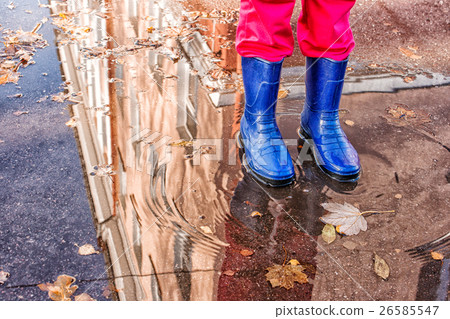 legs of little girl standing in a pool of autumn 26585547