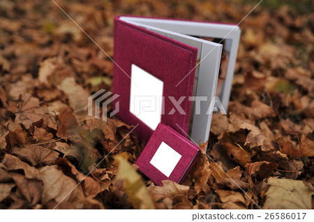 beautiful photo album on autumn leaves 26586017
