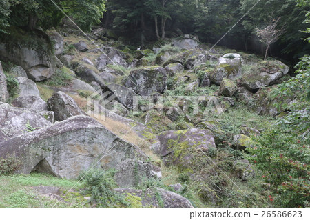 The garden of Seiunji Temple in Koshu, Yamanashi Prefecture (prefecturally designated place of scenic beauty) The garden of Seiunji Temple in Koshu, Yamanashi Prefecture (prefecturally designated place of scenic beauty) 26586623