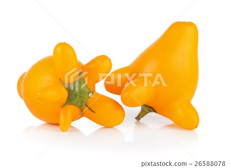 nipplefruit on white background nipplefruit on white background 26588078