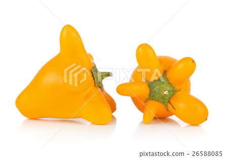 nipplefruit on white background 26588085