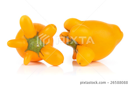 nipplefruit on white background nipplefruit on white background 26588088