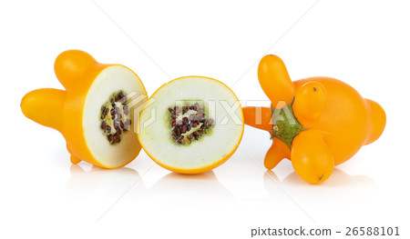 nipplefruit on white background nipplefruit on white background 26588101