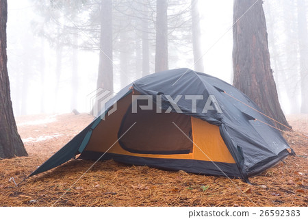 sports and recreation 26592383