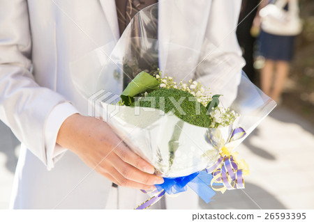 新郎西蘭花折騰圖像 26593395