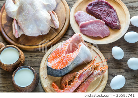 Protein diet Protein diet 26595741