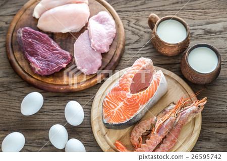 Protein diet Protein diet 26595742