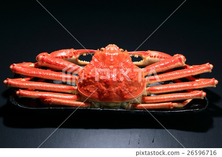 Snow crab Snow crab 26596716