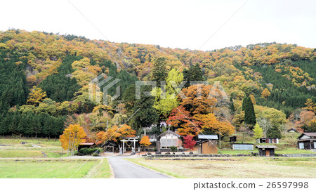 Seseragito高速公路的秋葉 26597998