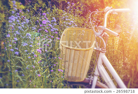close up of handle of bicycle in flower garden close up of handle of bicycle in flower garden 26598718