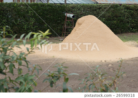 rise husks, rice husks, chaff 26599318