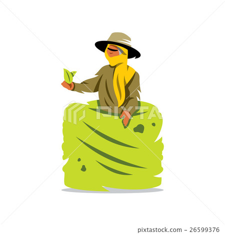 Vector Tea Picker Cartoon Illustration. Vector Tea Picker Cartoon Illustration. 26599376