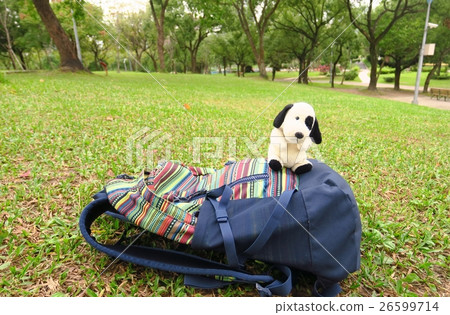 Backpack on the grass 26599714