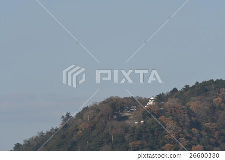 Bishin Matsuyama城堡在深秋 Bishin Matsuyama城堡在深秋 26600380