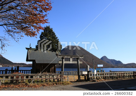 湖榛樹風景晚秋天 湖榛樹風景晚秋天 26600382