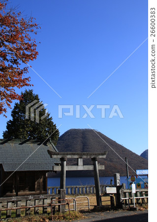 湖榛樹風景晚秋天 湖榛樹風景晚秋天 26600383
