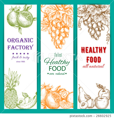 Healthy organic fruits vector sketch banners 26602925