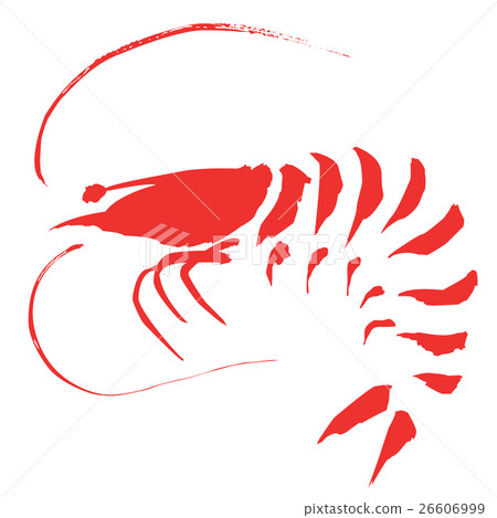 Shrimp illustration red 26606999