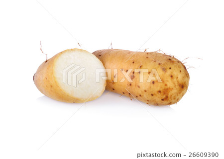 raw potato Dioscorea  burmanica or "Mon Nok" raw potato Dioscorea  burmanica or "Mon Nok" 26609390
