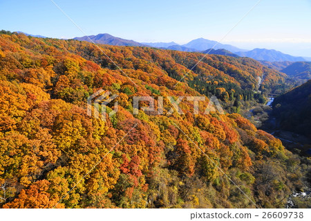 11月yatsugatake南足01紅葉 清里高原 照片素材 圖片 圖庫