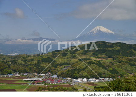 [Shizuoka Prefecture] Fresh green Tanna Basin and Mt. Fuji 26611361