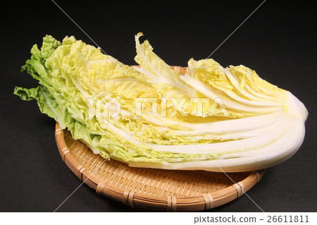 中國的白菜 中國的白菜 26611811