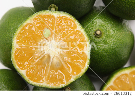 來自沖繩的音序器 來自沖繩的音序器 26613312