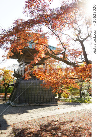 Nagakatsuji在秋天 Nagakatsuji在秋天 26622020