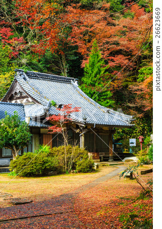 Autumn leaves of Mihonbun Kannon Autumn leaves of Mihonbun Kannon 26623669