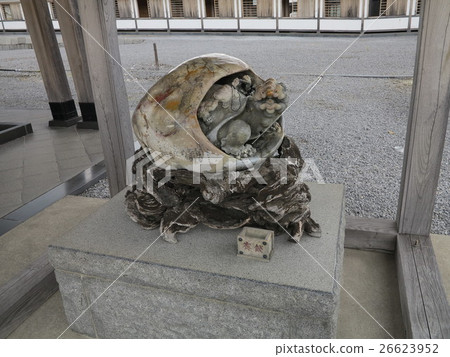 Tateyama Tortoise 26623952