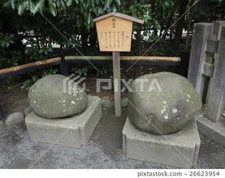 Tsuruoka Hachimangu Shrine Kameishi 26623954