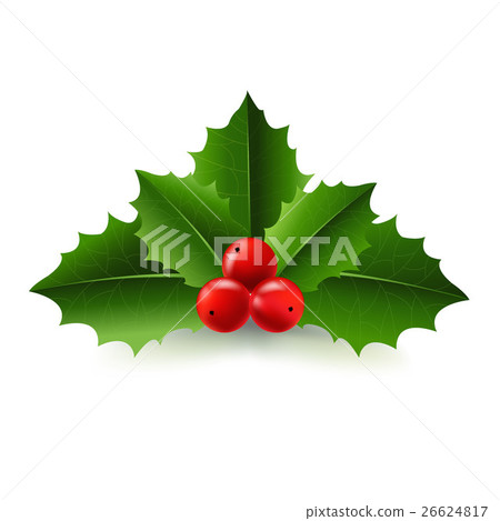 Xmas Holly Berry Xmas Holly Berry 26624817