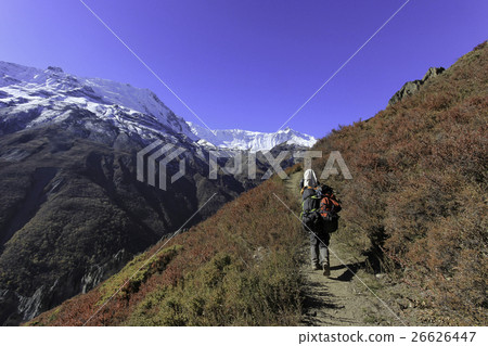 A porter on Annapurna circuit trek Himalayas Nepal 26626447