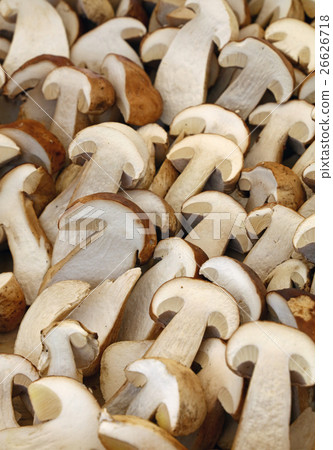 Fresh ceps porcini mushrooms halves close up Fresh ceps porcini mushrooms halves close up 26626718