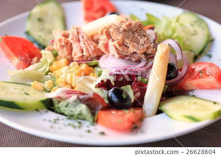美味的金槍魚混合沙拉 美味的金槍魚混合沙拉 26628604