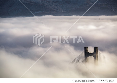 [Sa玉]秩父繆斯公園和秩父公園橋的雲海 26629408