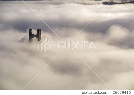 [Saitama] Sea of clouds at Chichibu Muse Park and Chichibu Park Bridge 26629410