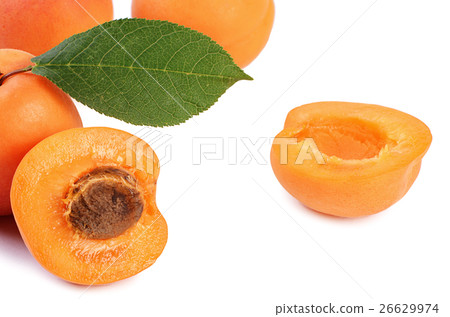 The fresh apricot with a leaf 26629974