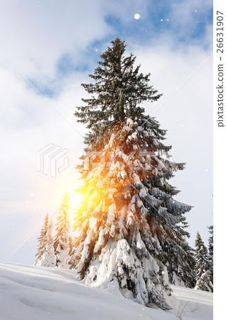 Fantastic landscape glowing by sunlight. Natural Fantastic landscape glowing by sunlight. Natural 26631907