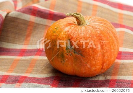 Pumpkin 26632075