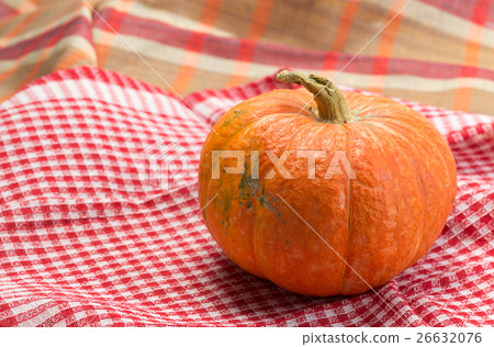 Pumpkin. 26632076