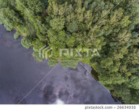 Summer landscape. Green trees at riverbank, Poland Summer landscape. Green trees at riverbank, Poland 26634038